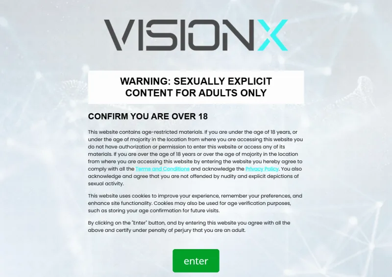 Vision X