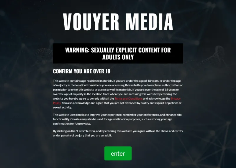 Vouyer Media
